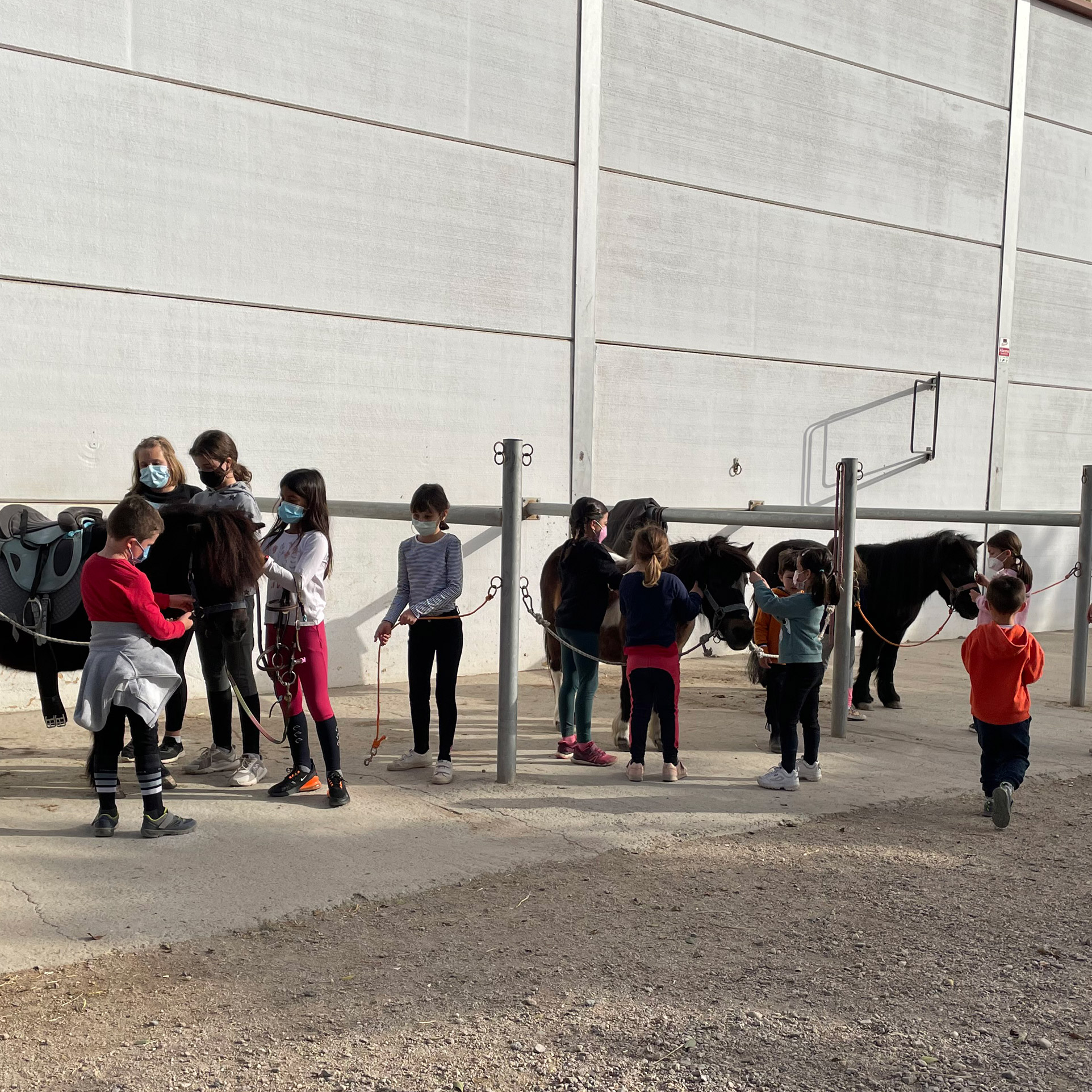 Campamentos-Back---Escuela-Equitacion-Almeria
