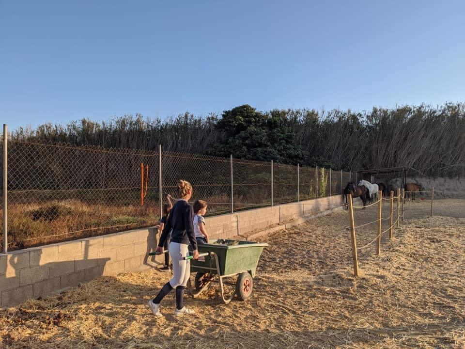Campamentos - Pony Club Almeria (1)