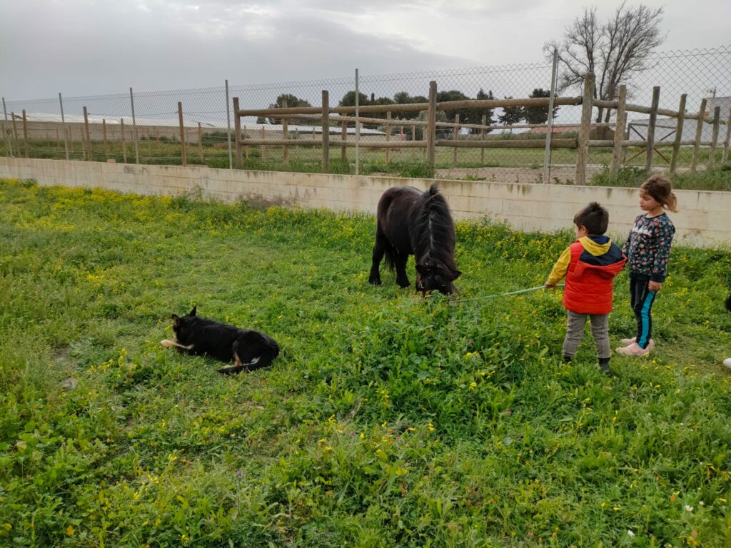 Campamentos - Pony Club Almeria (5)