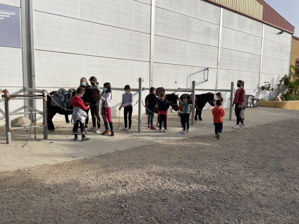 Campamentos - Pony Club Almeria (8)