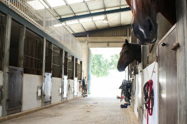 Instalaciones PonyClub Almeria - Escuela de Hípica (1)