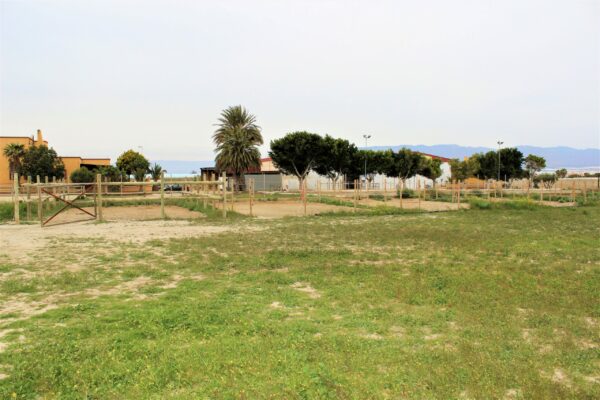 Instalaciones PonyClub Almeria - Escuela de Hípica (4)