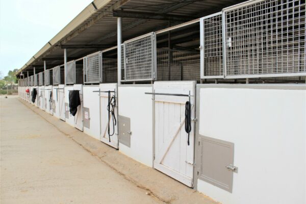 Instalaciones PonyClub Almeria - Escuela de Hípica (8)
